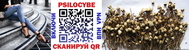 Галлюциногенные грибы прущие грибы  Купить где  Кизляр 